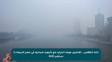 حالة الطقس.. تفاصيل موجة الحرارة مع شبورة صباحية في مصر الأربعاء 3 سبتمبر 2025